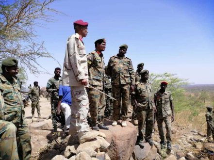 الجيش والدعم السريع يستردان موقعا من قبضة المتمردين بجبل مرة
