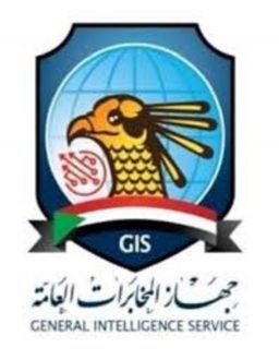 المخابرات العامة تصدر تعميما صحفيا بشأن سائق “دفار الغاز” .