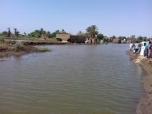 انخفاض في مناسيب نهر النيل والعطبراوى