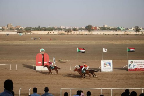 سباق الخيل ينظم ديربي تمهيدي نادي العاصمة
