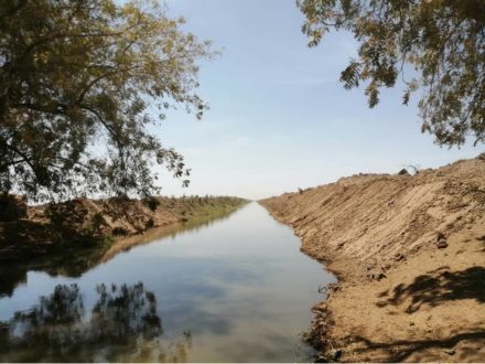 تكوين لجنة للمعالجات الفنية لترعة إمتداد مشروع القرير الزراعي