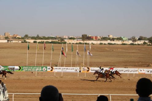 نادي سباق الخيل بالخرطوم ينظم غدا السباق التمهيدي للديربي السوداني