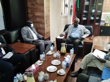 وزير الري يجنوب السودان:مخاوف الخرطوم من الملء لسد النهضة مشروعة