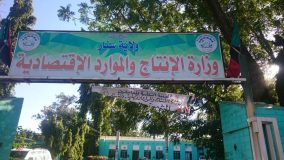 توفير مدخلات الإنتاج للموسم الصيفي بسنار