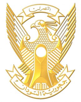 الجيش يدمر مليشيا آل دقلو ومرتزقتها بمنطقة الكويك