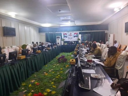 حكومة سنار تجيز أمر الطوارئ الخاص بحماية المشاريع الزراعية