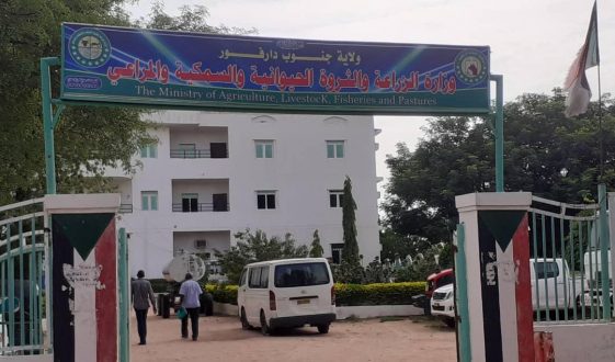 الزراعة تكمل استعداداتها لمكافحة طيور “الزرزور” بجنوب دارفور