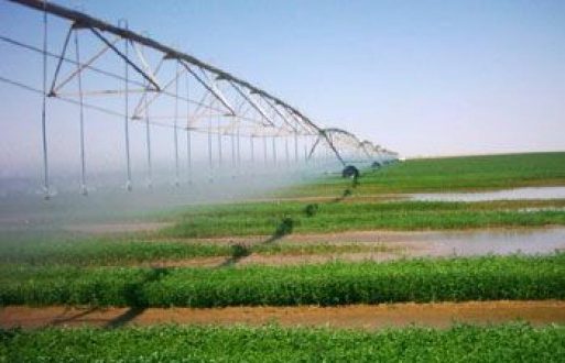 خطة لإستزراع الموسم الشتوي بغرب دارفور