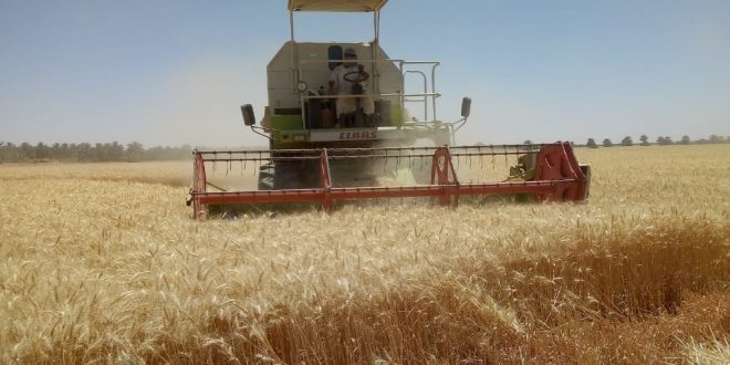 الولاية الشمالية تؤكد حرصها وإهتمامها لإنجاح الموسم الشتوى الحالي