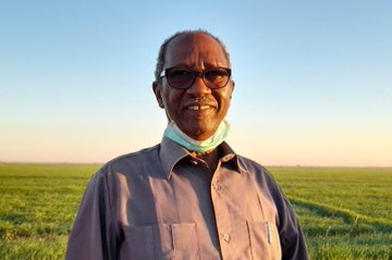 انطلاقة عمليات زراعة محصول القمح بمشروع الجزيرة