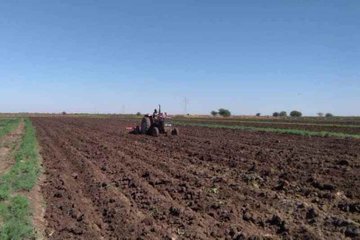 الشمالية:استهداف زراعة أكثر من 475 ألف فدان للعروة الشتوية