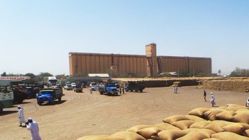 الذرة يوالي الارتفاع بأسواق محاصيل القضارف