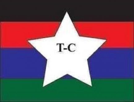 جيش تحرير السودان المجلس الانتقالي يدين نزيف الدم بدارفور