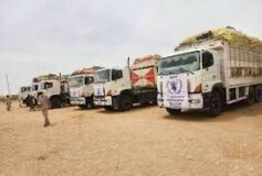 إسماعيل تيسو يكتب: مخطط خطير لإفراغ سكان الفاشر عبر سيارات تابعة لبعض المنظمات