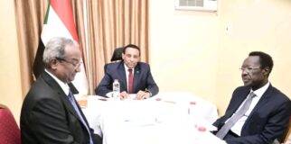 د. كامل إدريس يوجه بإنشاء مجلس للعلاقات الخارجية