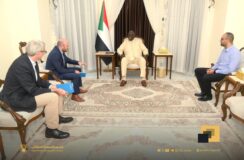 عقار يلتقي وفد منظمة برو ميدشنو برئاسة المدير العام للمنظمة