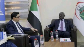 جراهام يثمن دعم اليونسكو لقطاع الثقافة والآثار