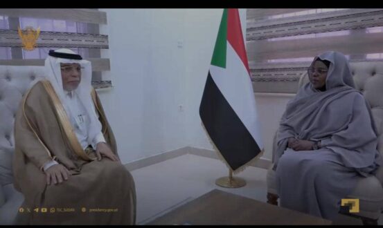 سلمى عبد الجبار تبحث مع السفير السعودي العلاقات الثنائية بين البلدين