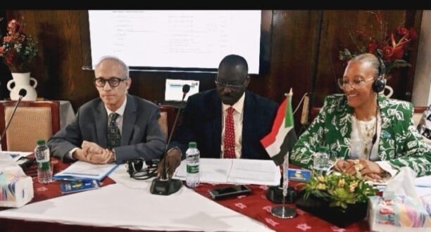 السودان يؤكد رغبته في تعزيز علاقات التعاون مع منظمات الأمم المتحدة