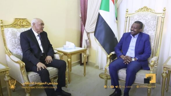 السيادي يشدّد على تفعيل دور المحكمة الدستورية وفرض هيبة الدولة