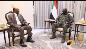 عقار يلتقي وزير الخارجية والتعاون الدولي