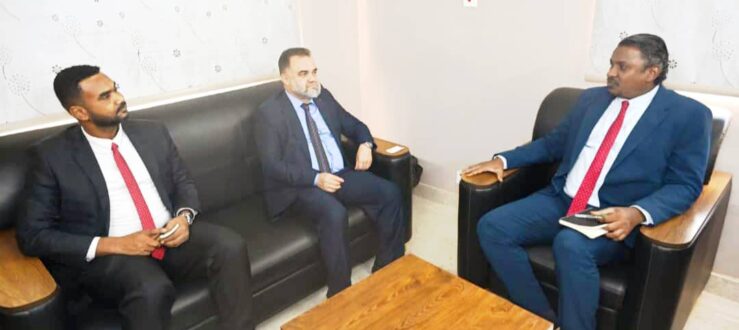 وزير الدولة بالمالية يثمن مجهودات مؤسسة التنسيق والتعاون التركية (تيكا)