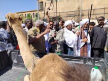 والي الخرطوم يستقبل قافلة قبيلة الفادنية دعما للقوات المسلحة