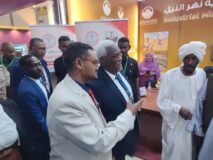 هيئة الأبحاث الجيولوجية تكشف خارطة الفرص المعدنية في نهر النيل