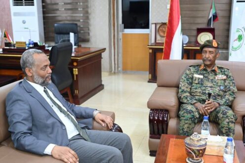 البرهان يتعهد بدعم كامل للصحة ومكافحة الأوبئة و يثني على جهود الجيش الابيض.