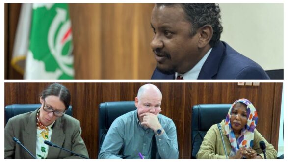 وزير الدولة بالمالية يلتقى وفد خبراء مجلس الأمن الخاص بتنفيذ القرار 1591 