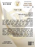 الجيش يعلن تحرير الكرمك بولاية النيل الأزرق