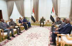 البرهان يلتقي وفد منظمة المؤتمر الدولي لإقليم البحيرات العظمى