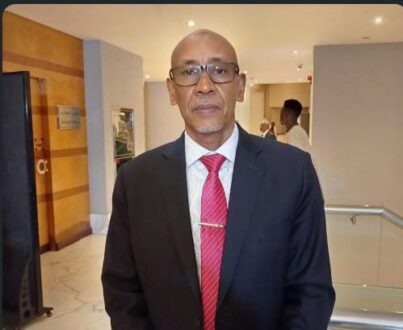 محمد المنير: لقاء اللجنة الخماسية خطوة أولى لإنجاح الحوار السوداني
