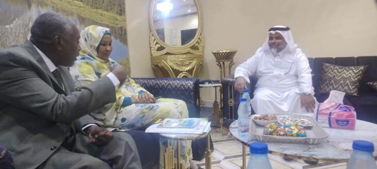 منال مكاوي تبحث مع رابطة العالم الإسلامي تعزيز التعاون في المجالات الاجتماعية والإنسانية بالشمالية