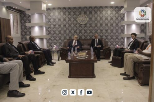 السفير المصري: الحوار السوداني يجب أن يكون سودانياً خالصاً